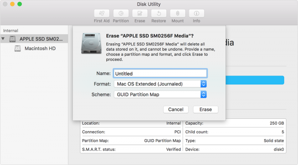 In this example, the sidebar shows APPLE SSD as the disk name and Macintosh HD as the volume name.