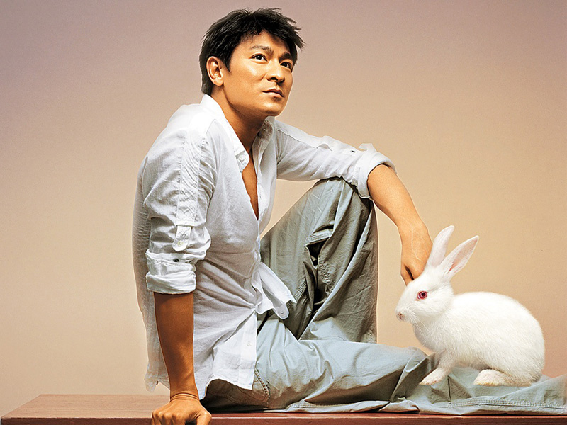 Andy Lau Photo 劉德華