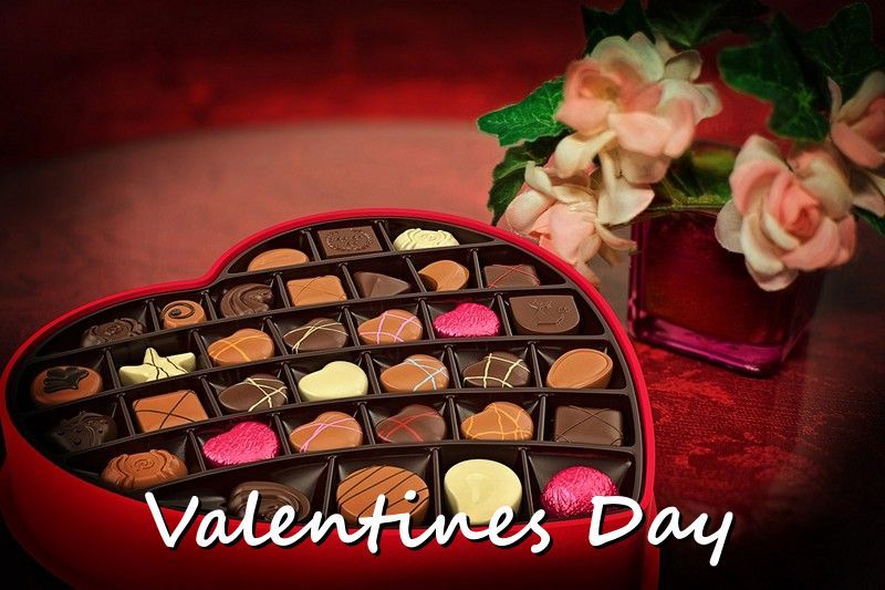 07 Love And Chocolates